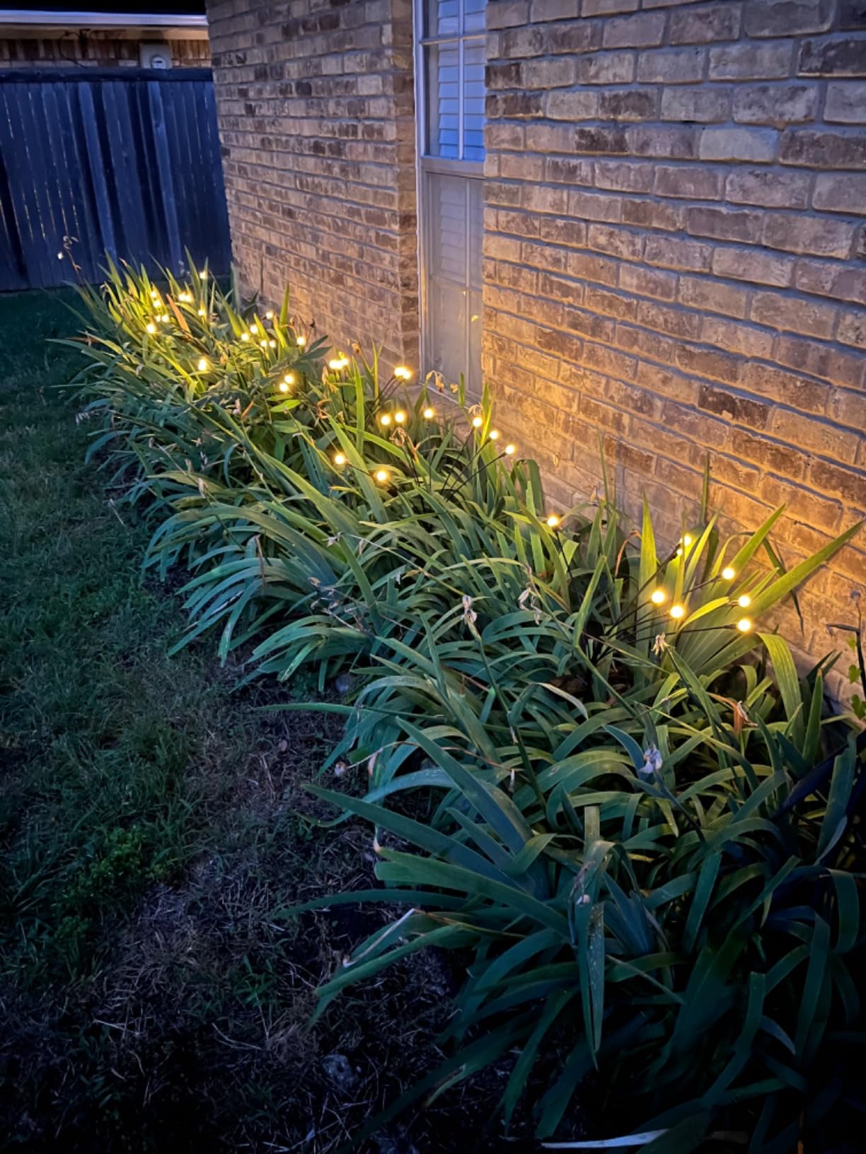 Jardín iluminado con Shine Garden