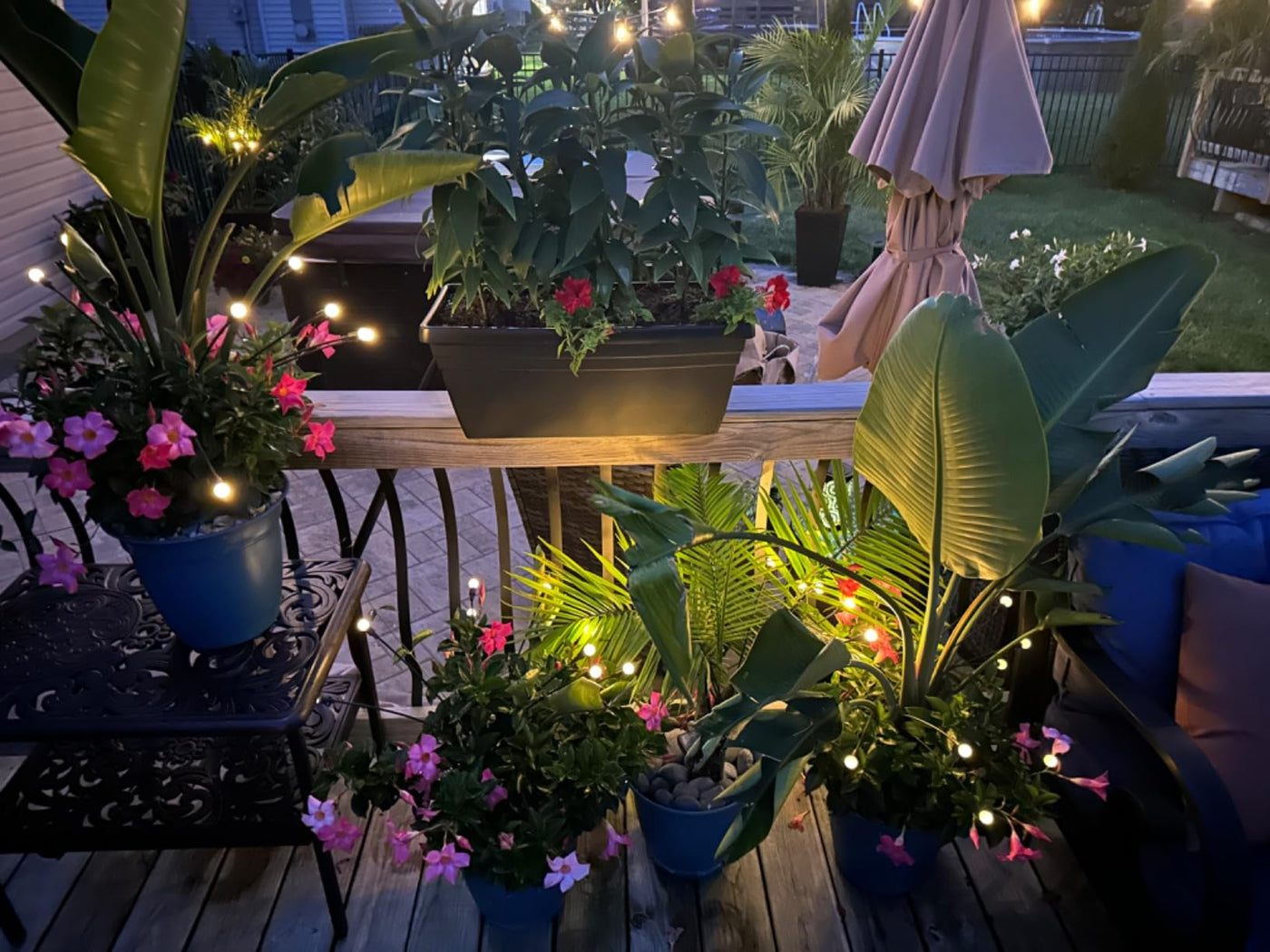 Jardín iluminado con Shine Garden