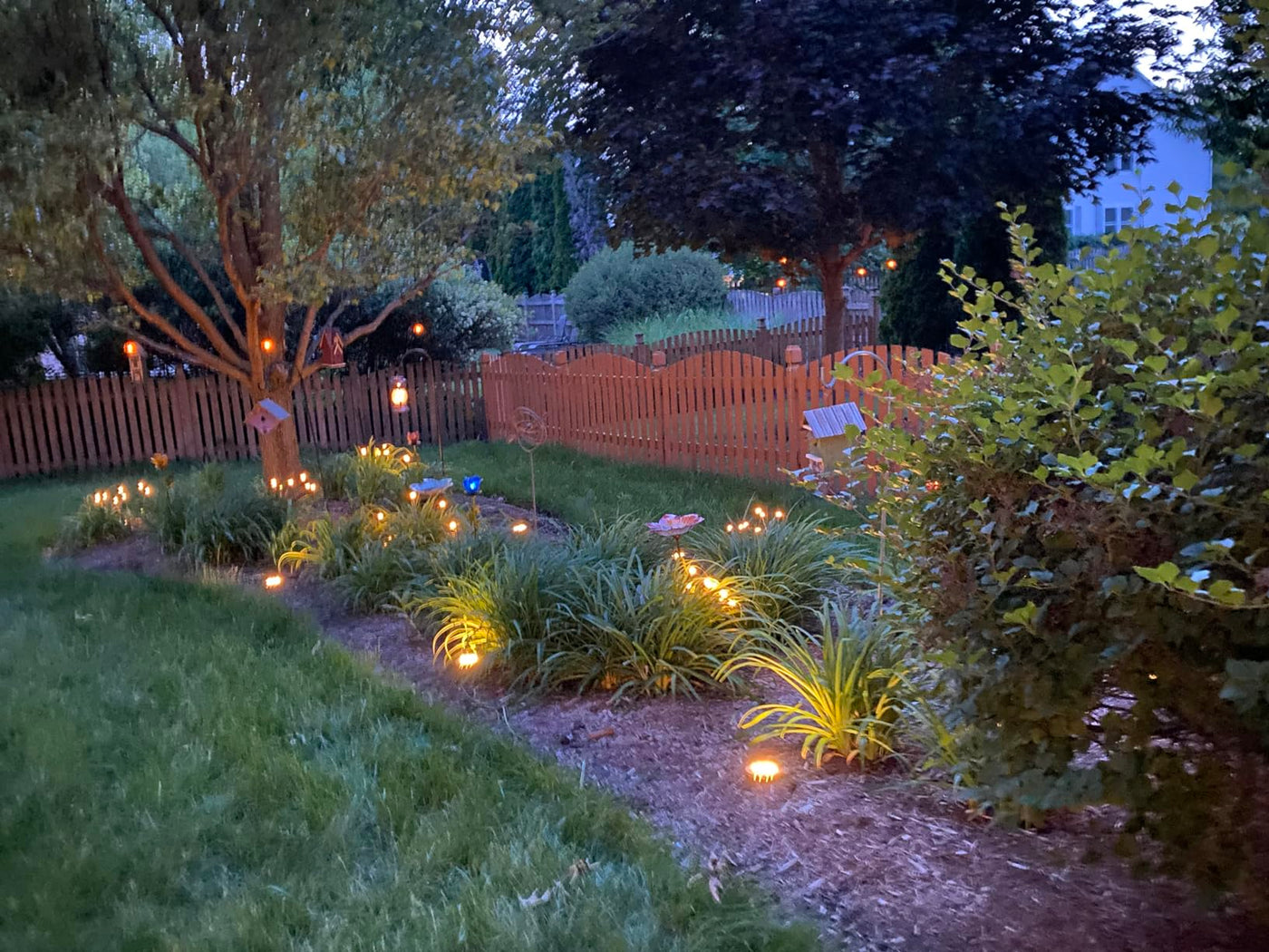 Jardín iluminado con Shine Garden