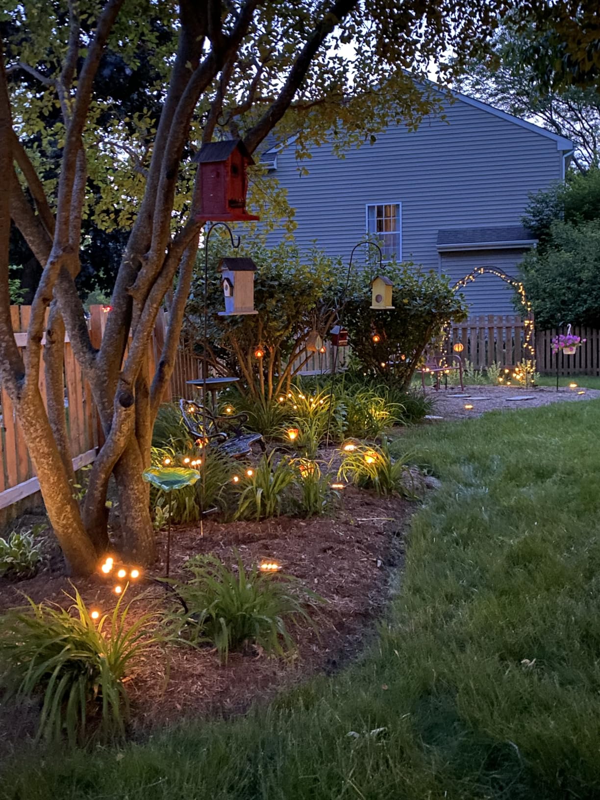Jardín iluminado con Shine Garden